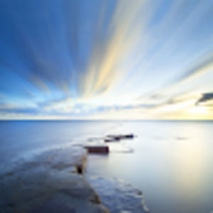 Meet your Posher, Deedee